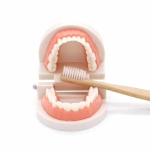 Tandborstleksak med öppen mun och tandborste i trä